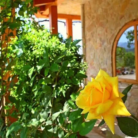 Appartement Casa Toni